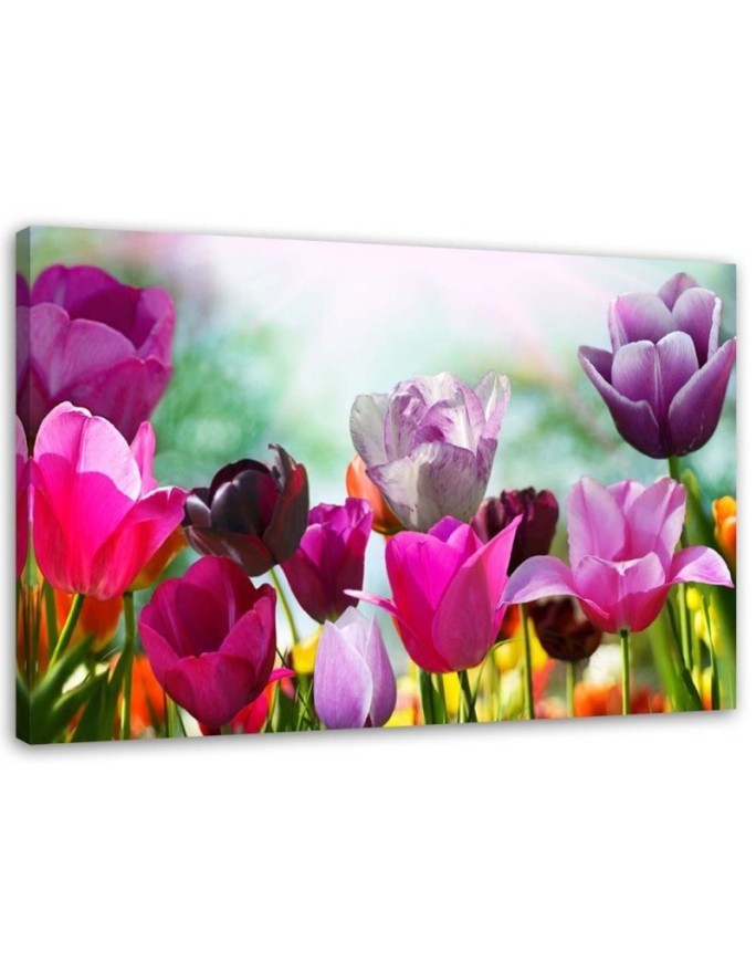 Modern Canvas painting for bedroom - Colourful tulips in a meadow | FEEBY