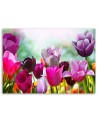 Modern Canvas painting for bedroom - Colourful tulips in a meadow | FEEBY