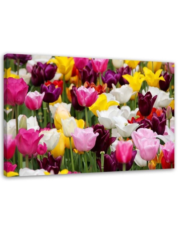 Modern Canvas painting for bedroom - Meadow full of tulips | FEEBY