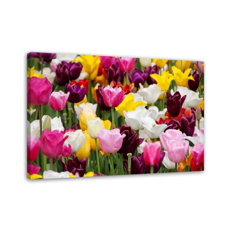 Modern Canvas painting for bedroom - Meadow full of tulips | FEEBY