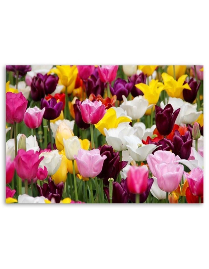 Modern Canvas painting for bedroom - Meadow full of tulips | FEEBY