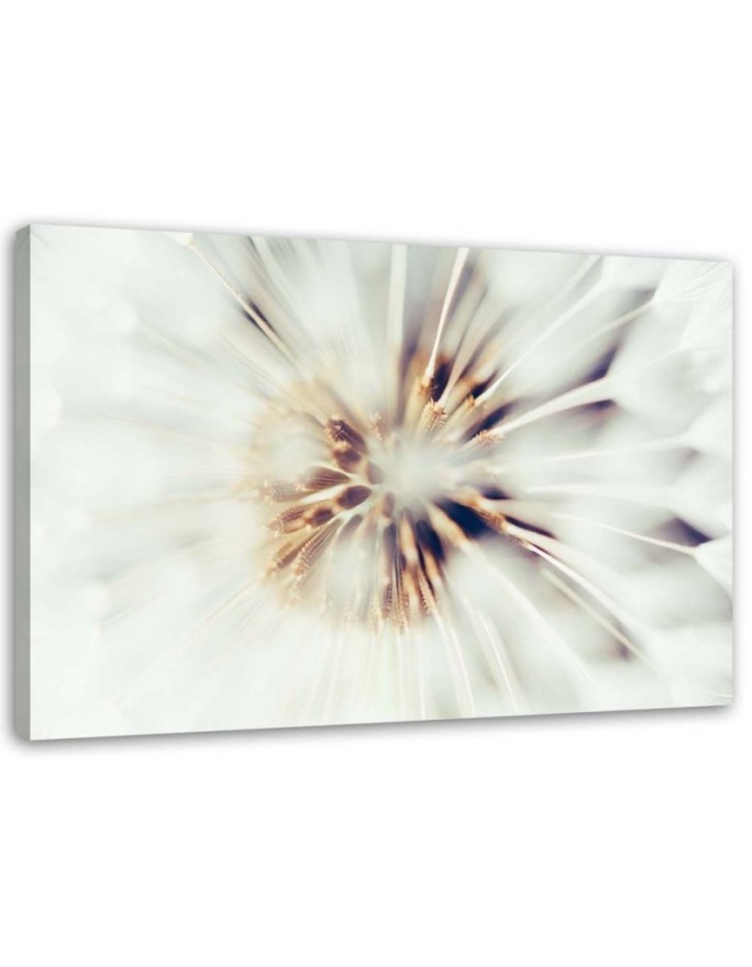 Modern canvas painting - Dandelion flower macro | FEEBY