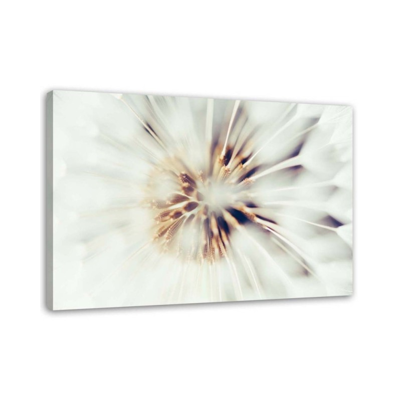 Modern canvas painting - Dandelion flower macro | FEEBY