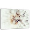 Modern canvas painting - Dandelion flower macro | FEEBY