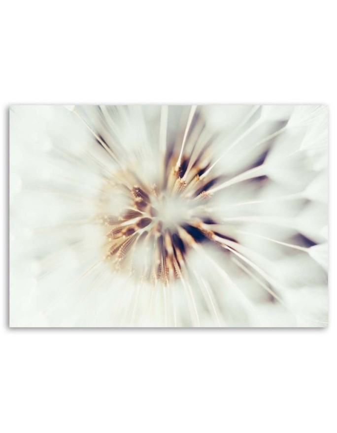 Modern canvas painting - Dandelion flower macro | FEEBY
