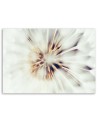 Modern canvas painting - Dandelion flower macro | FEEBY
