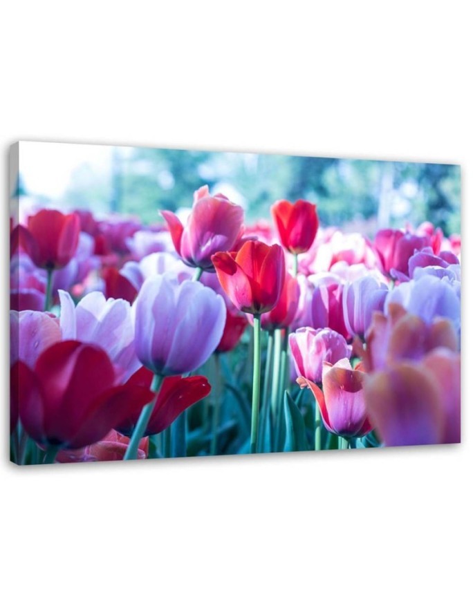 Modern canvas painting - Meadow full of tulips | FEEBY