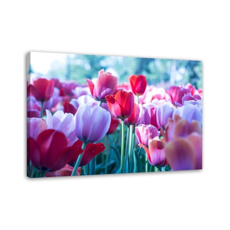 Modern canvas painting - Meadow full of tulips | FEEBY