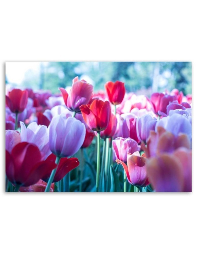 Modern canvas painting - Meadow full of tulips | FEEBY