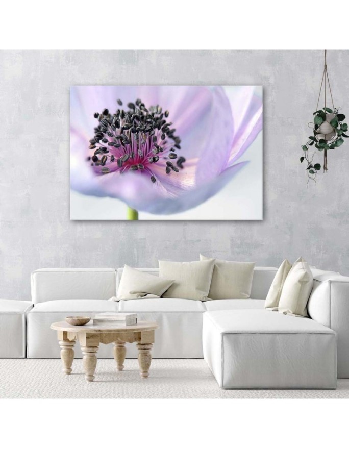 Modern canvas painting - Purple anemone | FEEBY