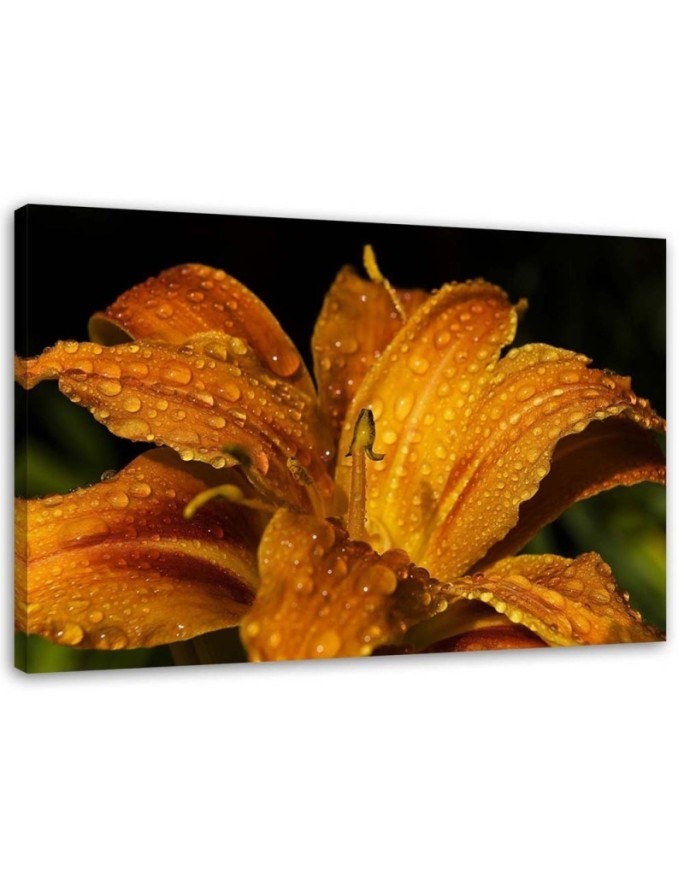Canvas prints for living room - Orange lily. High quality  | FEEBY