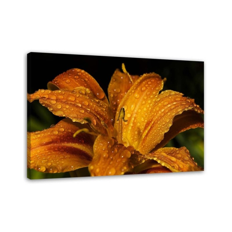 Canvas prints for living room - Orange lily. High quality  | FEEBY