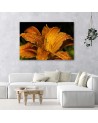 Canvas prints for living room - Orange lily. High quality  | FEEBY