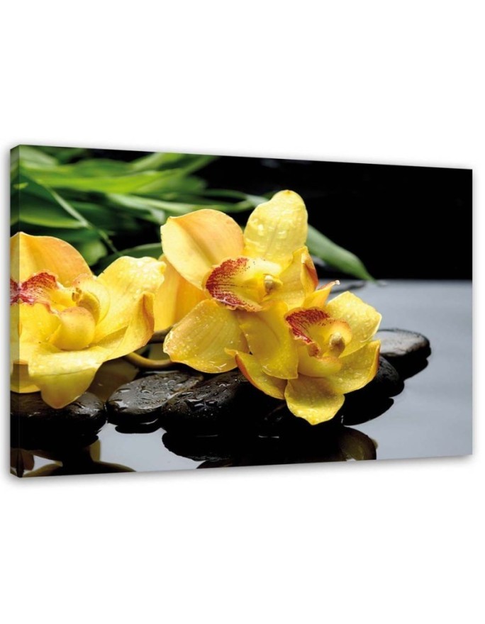 Canvas prints for spa - Daffodils and zen stones | FEEBY
