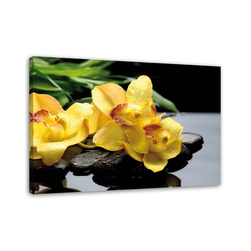 Canvas prints for spa - Daffodils and zen stones | FEEBY