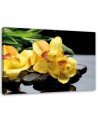 Canvas prints for spa - Daffodils and zen stones | FEEBY