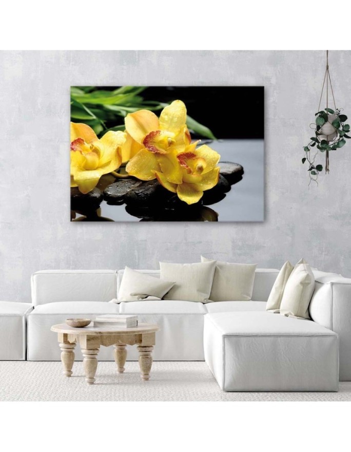 Canvas prints for spa - Daffodils and zen stones | FEEBY