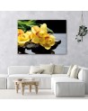 Canvas prints for spa - Daffodils and zen stones | FEEBY