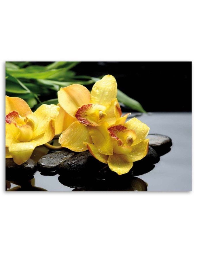 Canvas prints for spa - Daffodils and zen stones | FEEBY