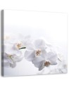 Modern canvas print - White orchids on white background | FEEBY