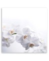 Modern canvas print - White orchids on white background | FEEBY