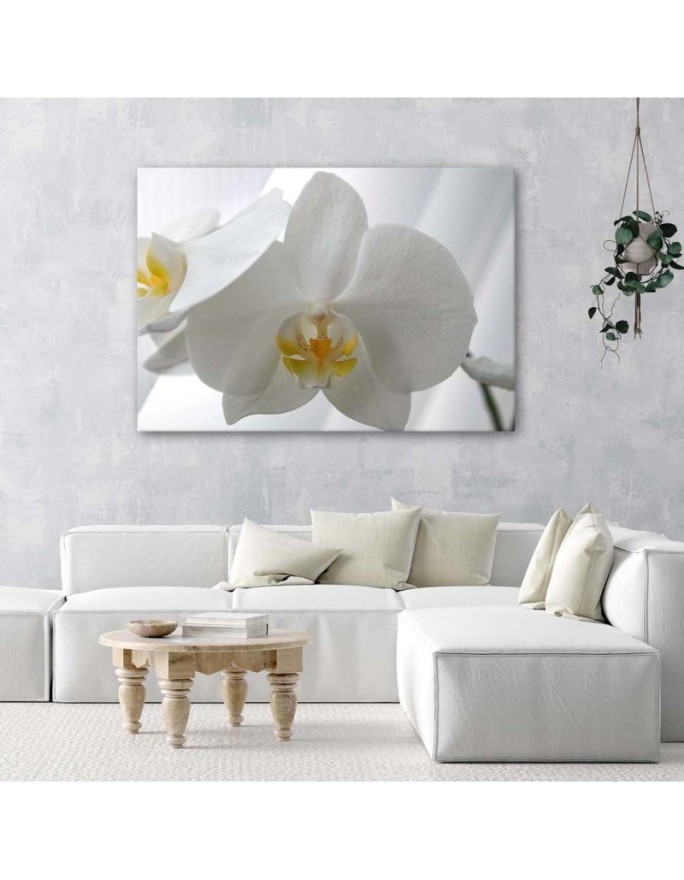 Modern canvas print - White orchids flowers | FEEBY