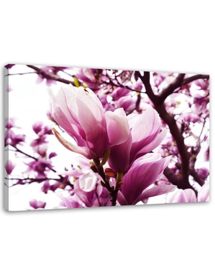 Blooming magnolia - Modern Canvas painting for living room | FEEBY