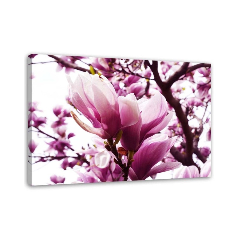 Blooming magnolia - Modern Canvas painting for living room | FEEBY