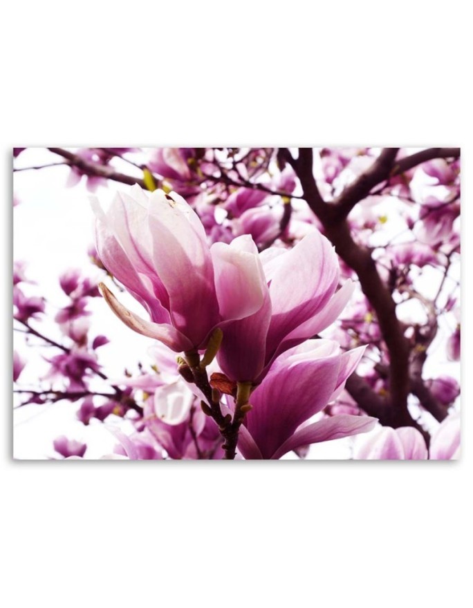 Blooming magnolia - Modern Canvas painting for living room | FEEBY