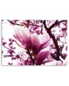 Blooming magnolia - Modern Canvas painting for living room | FEEBY