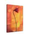 Lone poppy flower - Modern Canvas painting for living room | FEEBY