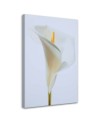 White calla - Painting canvas for the living room | FEEBY