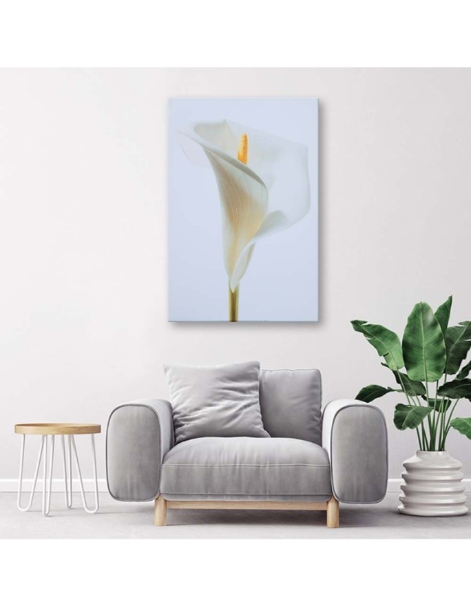 White calla - Painting canvas for the living room | FEEBY