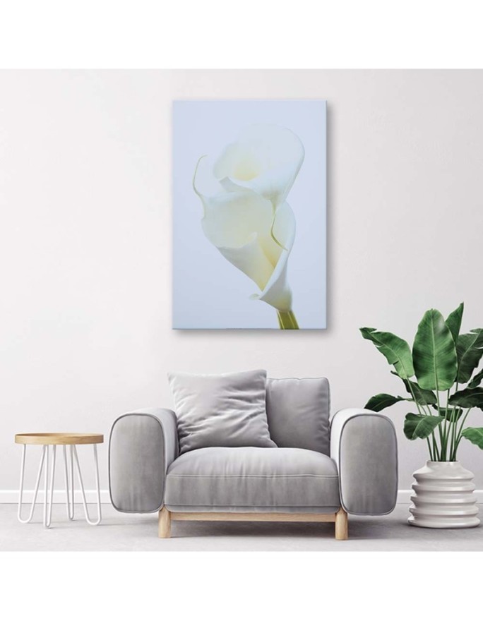 White calla - Pictures on Canvas for the living room | FEEBY