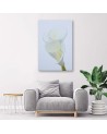 White calla - Pictures on Canvas for the living room | FEEBY