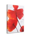 Red poppies on a light background - Canvas prints as hand painted | FEEBY