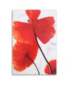 Red poppies on a light background - Canvas prints as hand painted | FEEBY