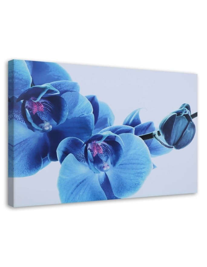 Blue orchid flowers - Canvas art painting | FEEBY