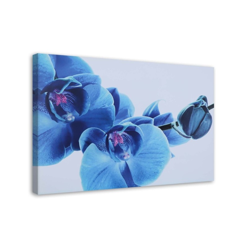 Blue orchid flowers - Canvas art painting | FEEBY