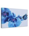 Blue orchid flowers - Canvas art painting | FEEBY
