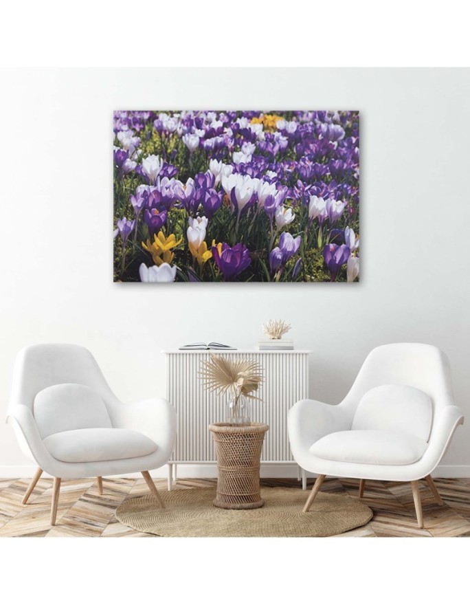 Spring crocuses on the meadow - Canvas painting | FEEBY