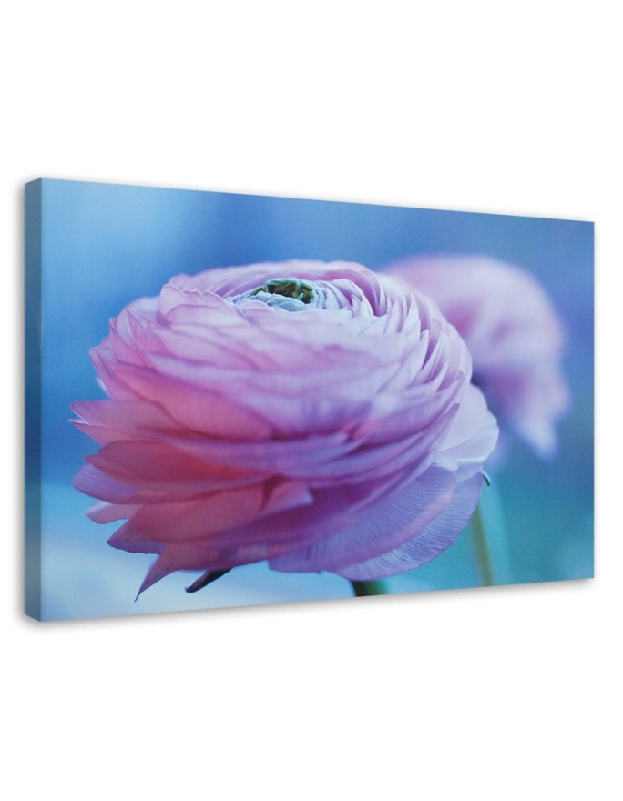 Canvas print Pink peony flower
