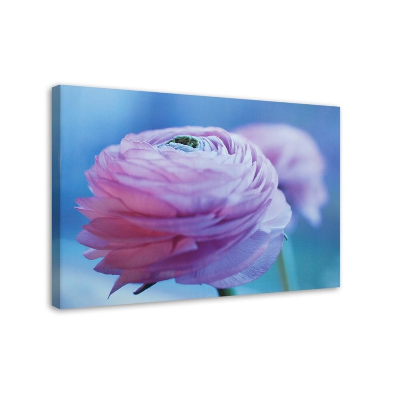 Canvas prints for living room canvas - Peony pink flower | FEEBY