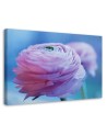 Canvas prints for living room canvas - Peony pink flower | FEEBY