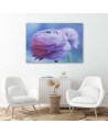 Canvas prints for living room canvas - Peony pink flower | FEEBY