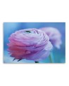 Canvas prints for living room canvas - Peony pink flower | FEEBY