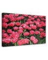 Canvas prints for living room canvas - Pink tulips in the garden | FEEBY