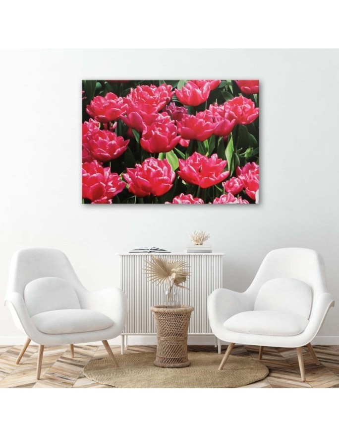 Canvas prints for living room canvas - Pink tulips in the garden | FEEBY