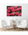 Canvas prints for living room canvas - Pink tulips in the garden | FEEBY
