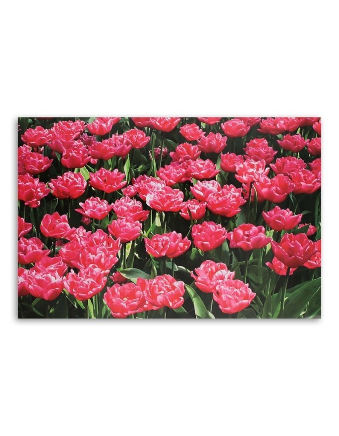 Canvas prints for living room canvas - Pink tulips in the garden | FEEBY